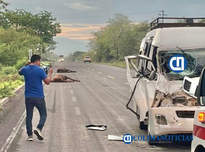Dos heridos y dos caballos muertos, saldo de un aparatoso accidente en Tecomán