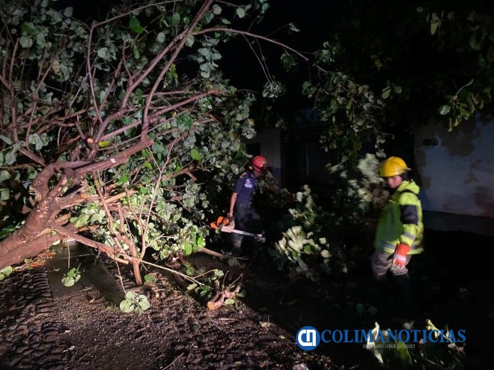 Marejadas, árboles caídos y cortes de energía eléctrica deja a su paso ‘Beatriz’ en la costa 5