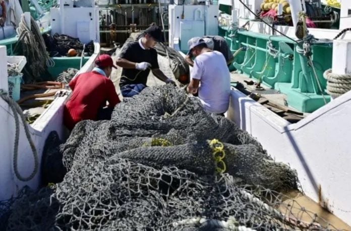 China anuncia la suspensión de importaciones de productos del mar procedentes de Japón