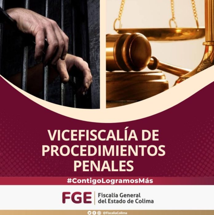 Vicefiscalía de Procedimientos Penales