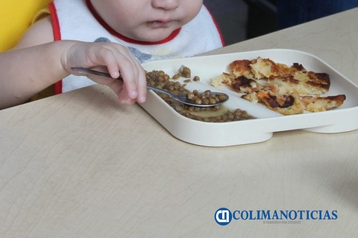 alimentacion bebé