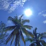 calor colima