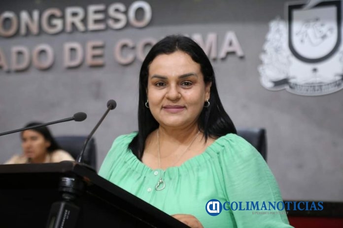 diputada Myriam Gudiño