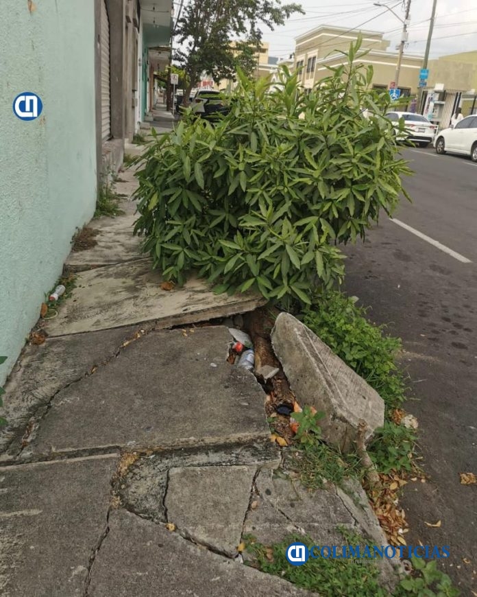 Denuncian mal estado de banqueta en calle Gabino Barreda, frente al museo del IUBA
