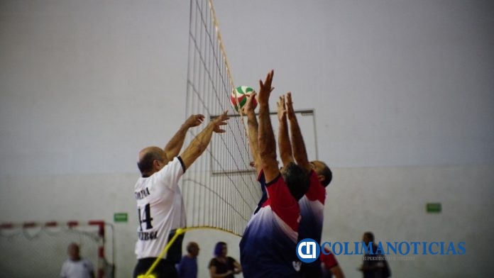 Cachibol