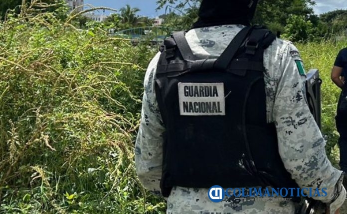 guardia nacional busqueda