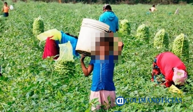 trabajo infantil