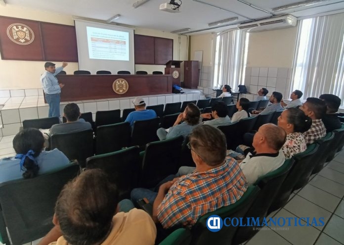 Conferencia sobre Mortandad de las abejas_Juan Manuel Palma_a