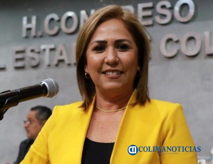 Diputada Patricia Ceballos