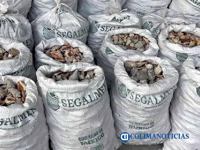 Droga incautada en Hong Kong pudo salir desde Manzanillo