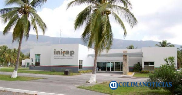 Inifap