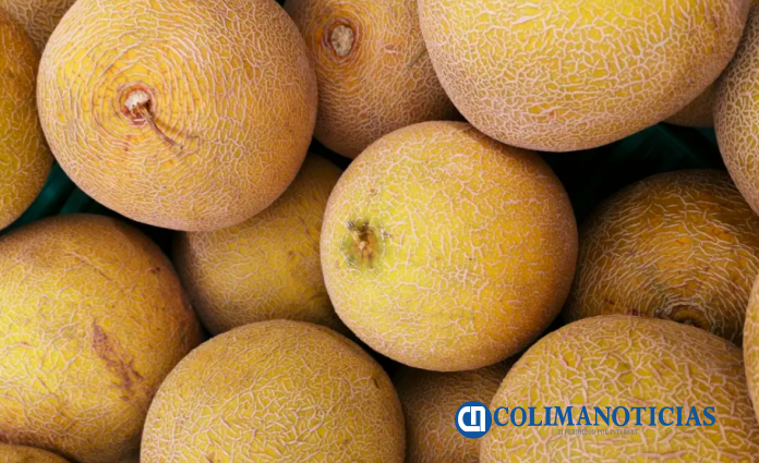 melones