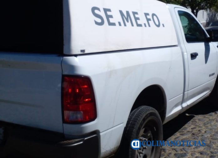 semefo colima