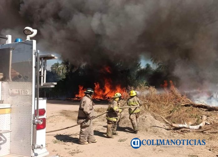 Se incendian pastizal en los terrenos de la feria de Manzanillo 1