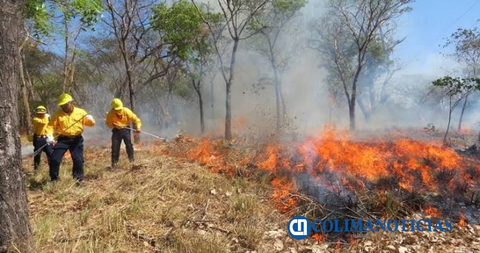 incendio forestal