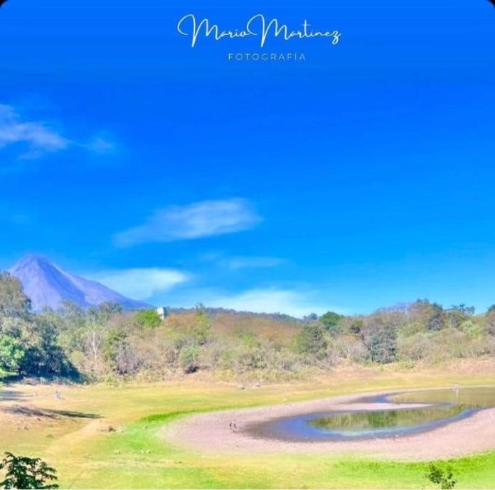 laguna carrizalillos