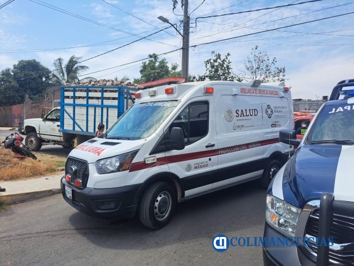 ACCIDENTADO ARMERIA