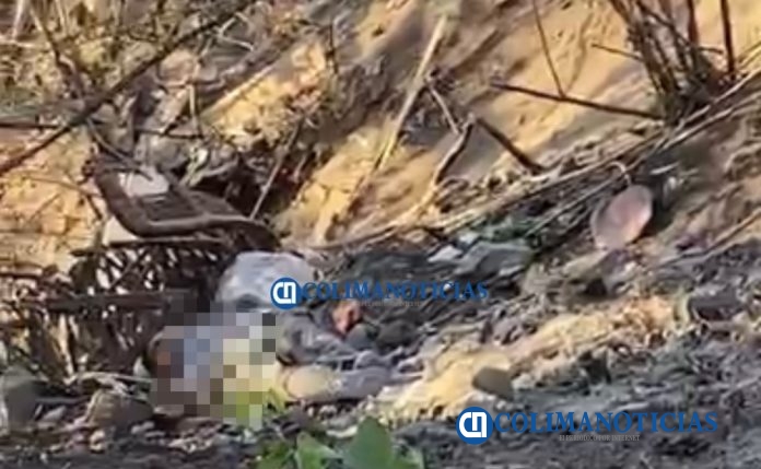 Dejan tres ejecutados en un terreno en Comala