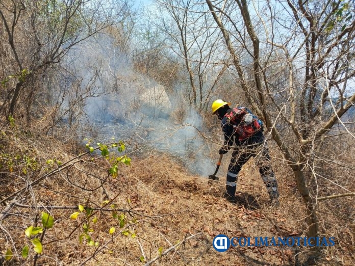 Controlados al 80% incendios forestales en el Cerro del Toro, en Manzanillo