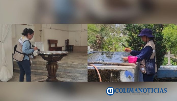 SALUD COLIMA DENGUE