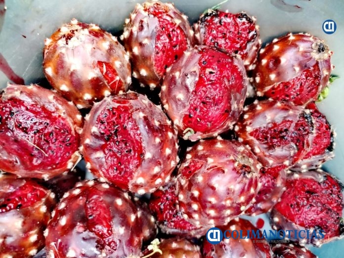 pitaya