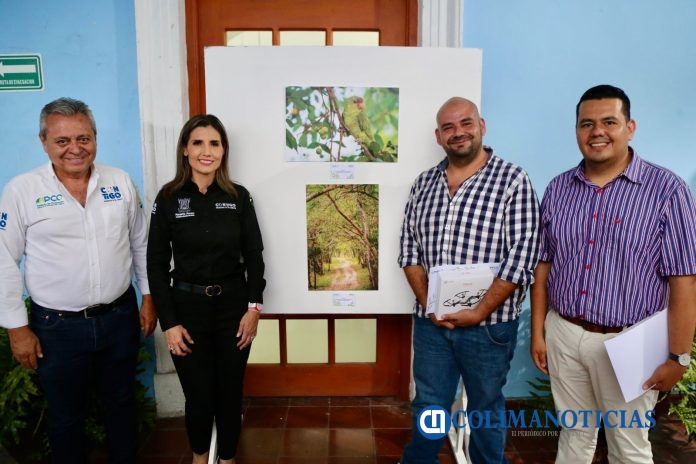 CONCURSO ARBOLES URBANOS MARGARITA MORENO