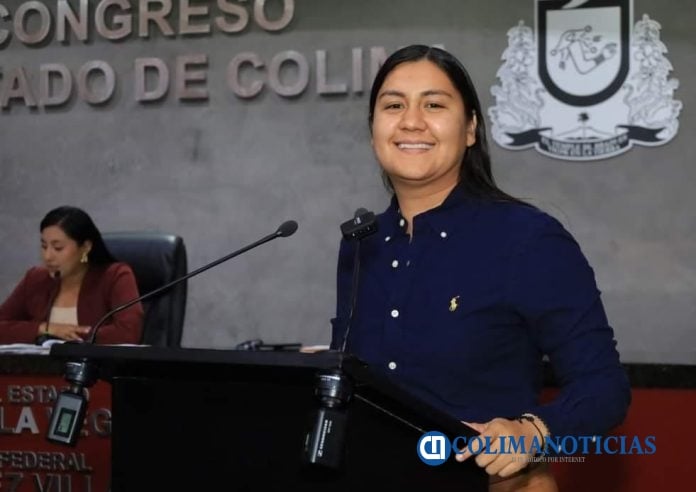 diputada Yommira Carrillo Barreto