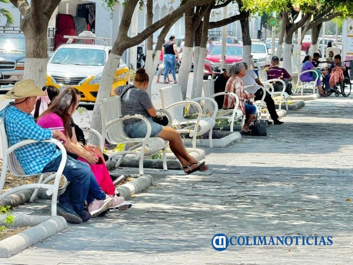 tecomenses en jardin