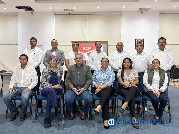 Capacitan en el uso del desfibrilador_c