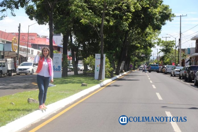 MARGARITA MORENO REHABILITACIÓN DE AVENIDAS