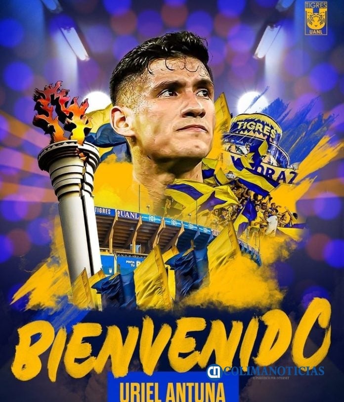 Antuna ya es Tigre