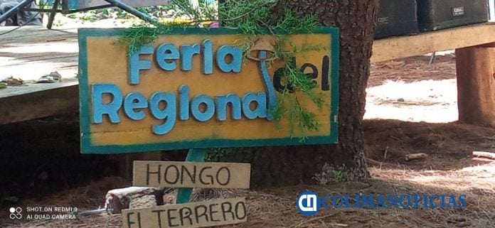 En Cerro Grande hay 255 especies de hongos y solo 6 especies son comestibles