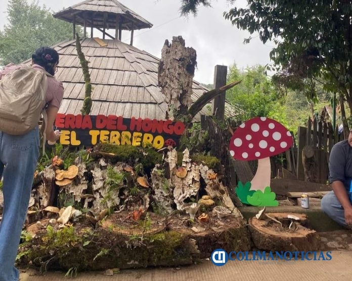 FERIA REGIONAL DEL HONGO