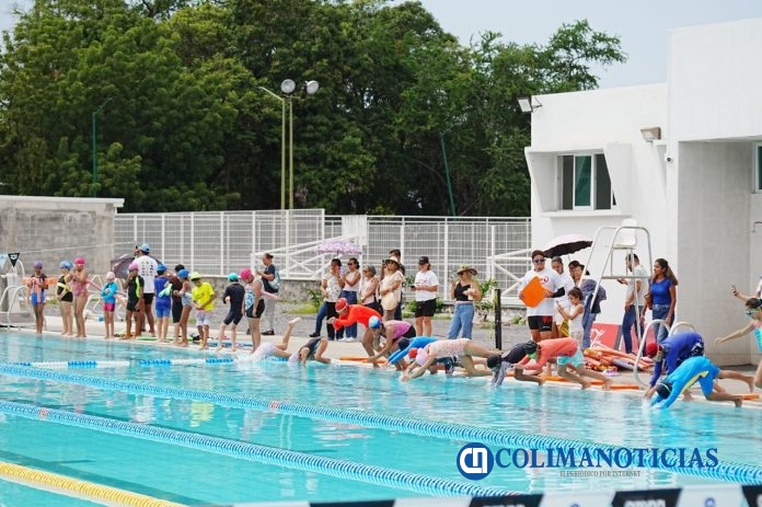 INCODE CURSO DE VERANO
