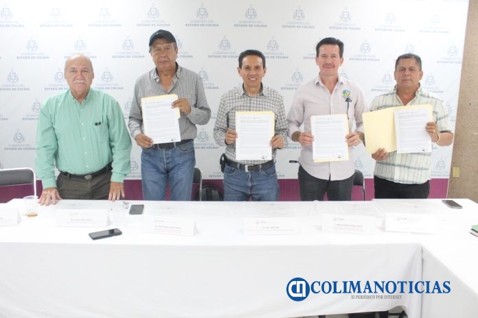 REGIÓN AGUACATERA-COLIMA