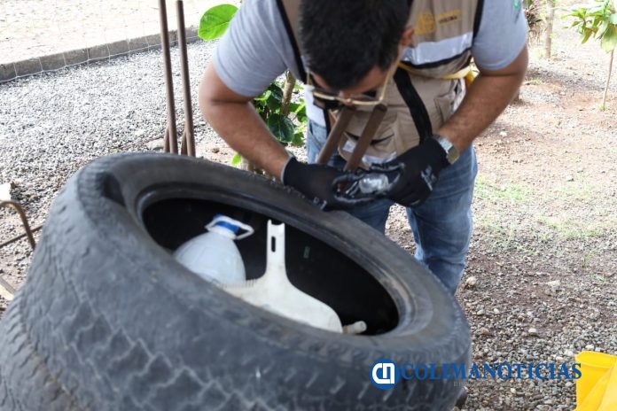 Salud Colima mantiene el control larvario contra el dengue