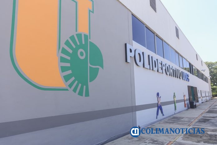 polideportivo udec
