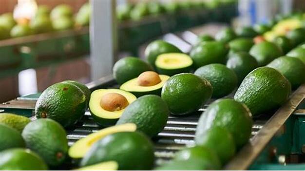 AGUACATEROS