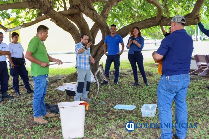Curso_manejo_de_fauna_silvestre