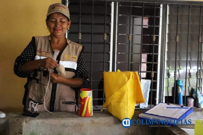 Mantiene Salud Colima control larvario en casos probables de dengue, en municipios de mayor riesgo