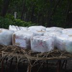 Marina y Fiscalía General de la República incineran 198 kilogramos de metanfetamina en Manzanillo35