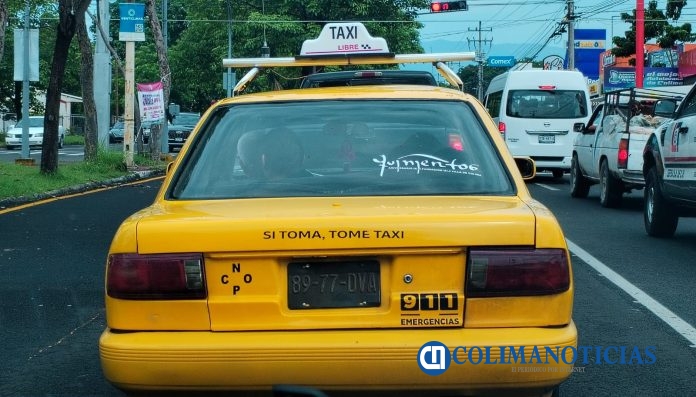 Pintura en las placas