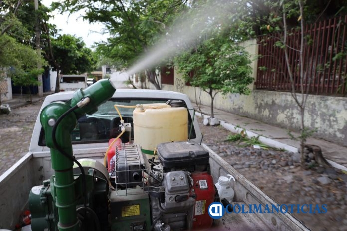 SALUD COLIMA DENGUE