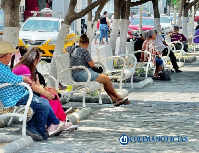tecomenses en jardin