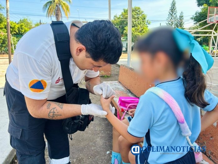 Atacan abejas a cuatro estudiantes de una escuela primaria en Colima