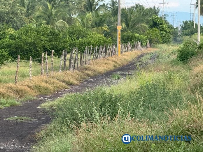 caminos saca cosechas