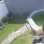 Captan a ladrón introduciéndose a un domicilio 5