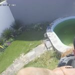 Captan a ladrón introduciéndose a un domicilio 7