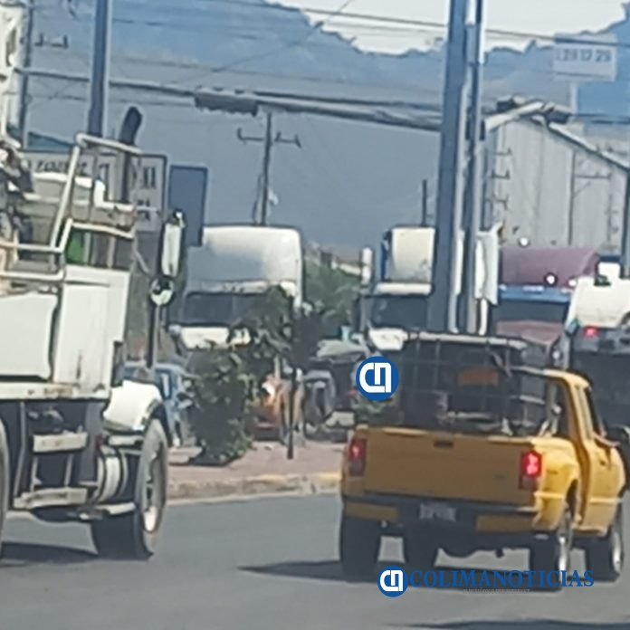 Colapsados los ingresos al municipio de Manzanillo 4