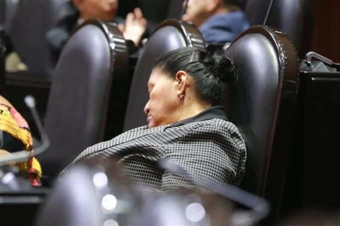 DIPUTADA DORMIDA EN SESIÓN